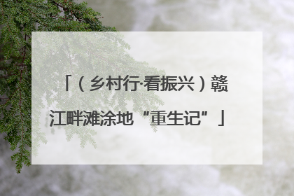 （乡村行·看振兴）赣江畔滩涂地“重生记”