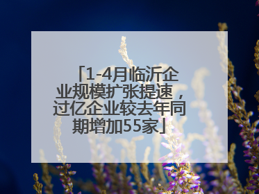 1-4月临沂企业规模扩张提速，过亿企业较去年同期增加55家