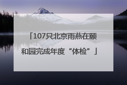 107只北京雨燕在颐和园完成年度“体检”