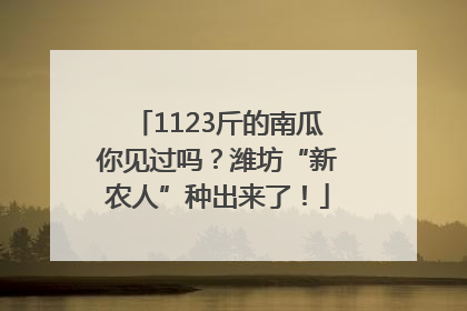 1123斤的南瓜你见过吗？潍坊“新农人”种出来了！