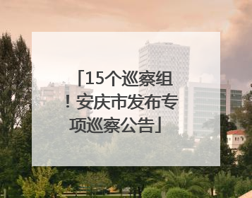 15个巡察组！安庆市发布专项巡察公告