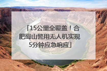 15公里全覆盖！合肥蜀山警用无人机实现5分钟应急响应