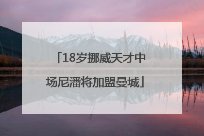 18岁挪威天才中场尼潘将加盟曼城