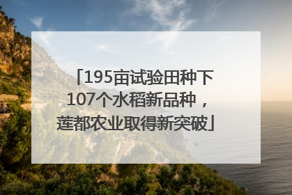 195亩试验田种下107个水稻新品种，莲都农业取得新突破
