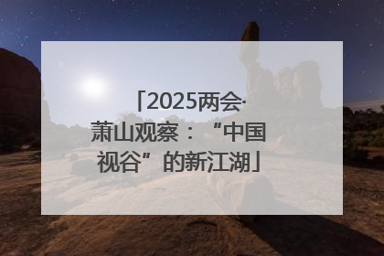 2025两会·萧山观察：“中国视谷”的新江湖