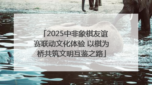 2025中非象棋友谊赛联动文化体验 以棋为桥共筑文明互鉴之路