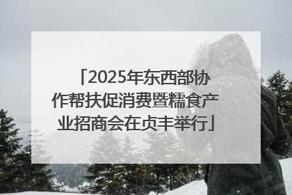 2025年东西部协作帮扶促消费暨糯食产业招商会在贞丰举行
