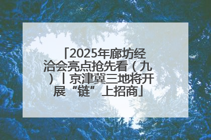 2025年廊坊经洽会亮点抢先看（九）丨京津冀三地将开展“链”上招商