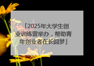 2025年大学生创业训练营举办，帮助青年创业者在长圆梦