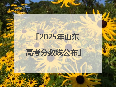 2025年山东高考分数线公布