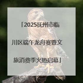 2025抚州市临川区端午龙舟赛暨文旅消费季火热启幕