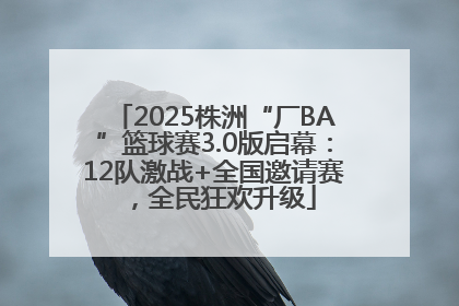 2025株洲“厂BA”篮球赛3.0版启幕：12队激战+全国邀请赛，全民狂欢升级