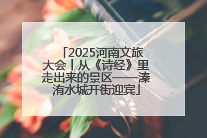 2025河南文旅大会丨从《诗经》里走出来的景区——溱洧水城开街迎宾