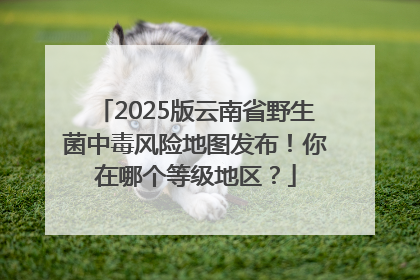 2025版云南省野生菌中毒风险地图发布！你在哪个等级地区？