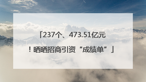 237个、473.51亿元！晒晒招商引资“成绩单”