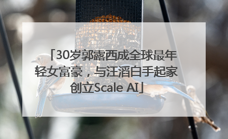 30岁郭露西成全球最年轻女富豪，与汪滔白手起家创立Scale AI