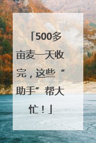 500多亩麦一天收完，这些“助手”帮大忙！