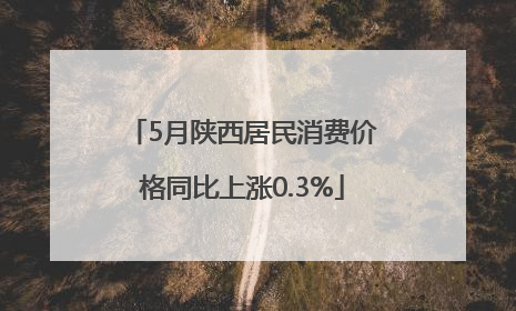 5月陕西居民消费价格同比上涨0.3%