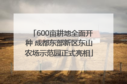 600亩耕地全面开种 成都东部新区东山农场示范园正式亮相