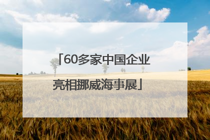 60多家中国企业亮相挪威海事展