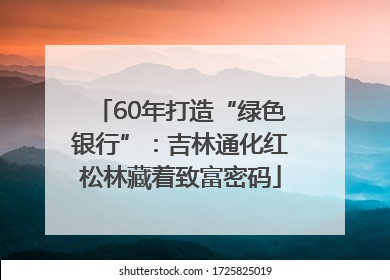 60年打造“绿色银行”：吉林通化红松林藏着致富密码