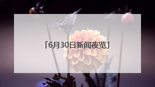 6月30日新闻夜览
