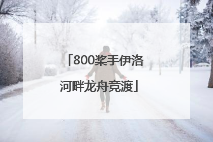 800桨手伊洛河畔龙舟竞渡