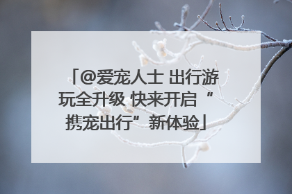 @爱宠人士 出行游玩全升级 快来开启“携宠出行”新体验