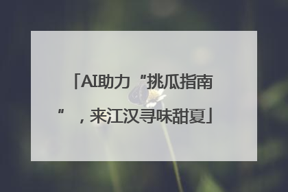 AI助力“挑瓜指南”，来江汉寻味甜夏
