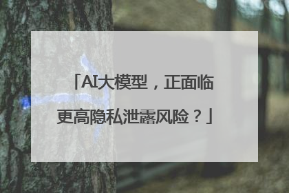 AI大模型，正面临更高隐私泄露风险？