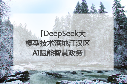 DeepSeek大模型技术落地江汉区 AI赋能智慧政务