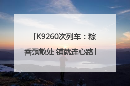K9260次列车：粽香飘散处 铺就连心路