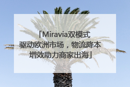 Miravia双模式驱动欧洲市场，物流降本增效助力商家出海
