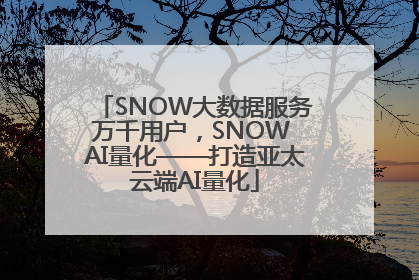 SNOW大数据服务万千用户，SNOW AI量化——打造亚太云端AI量化