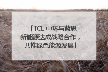 TCL 中环与蓝思新能源达成战略合作，共推绿色能源发展